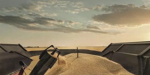 Feature_feature5_250