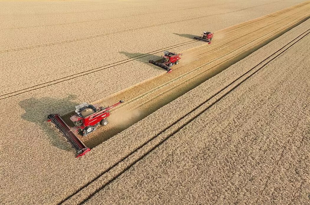 Picture_feature9_250