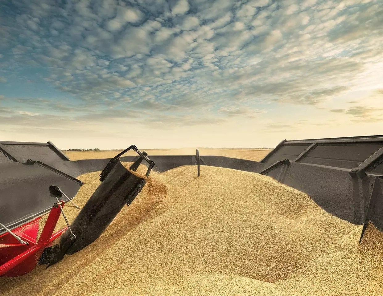 af_9240_c14_g_004_ret_1WEB