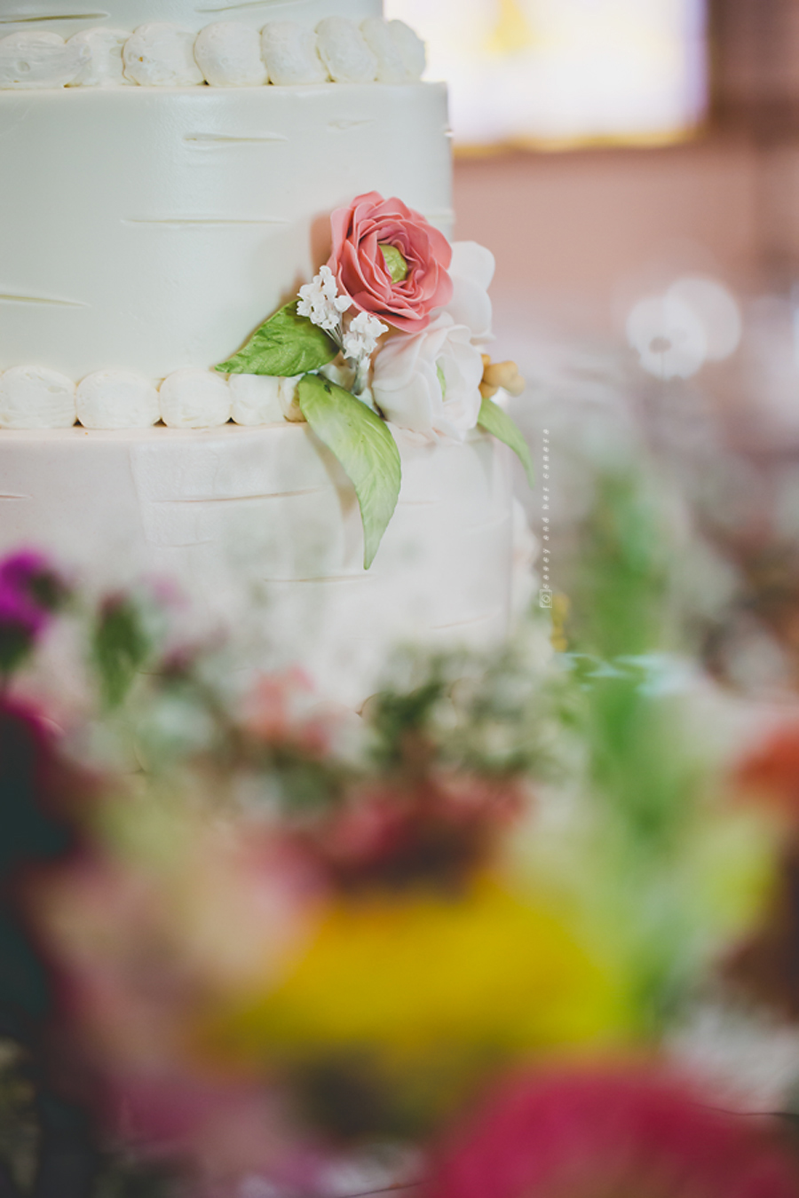 Indianapolis wedding photographer