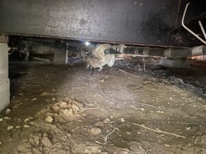 Crawl space encapsulation: 5 reasons its a good idea