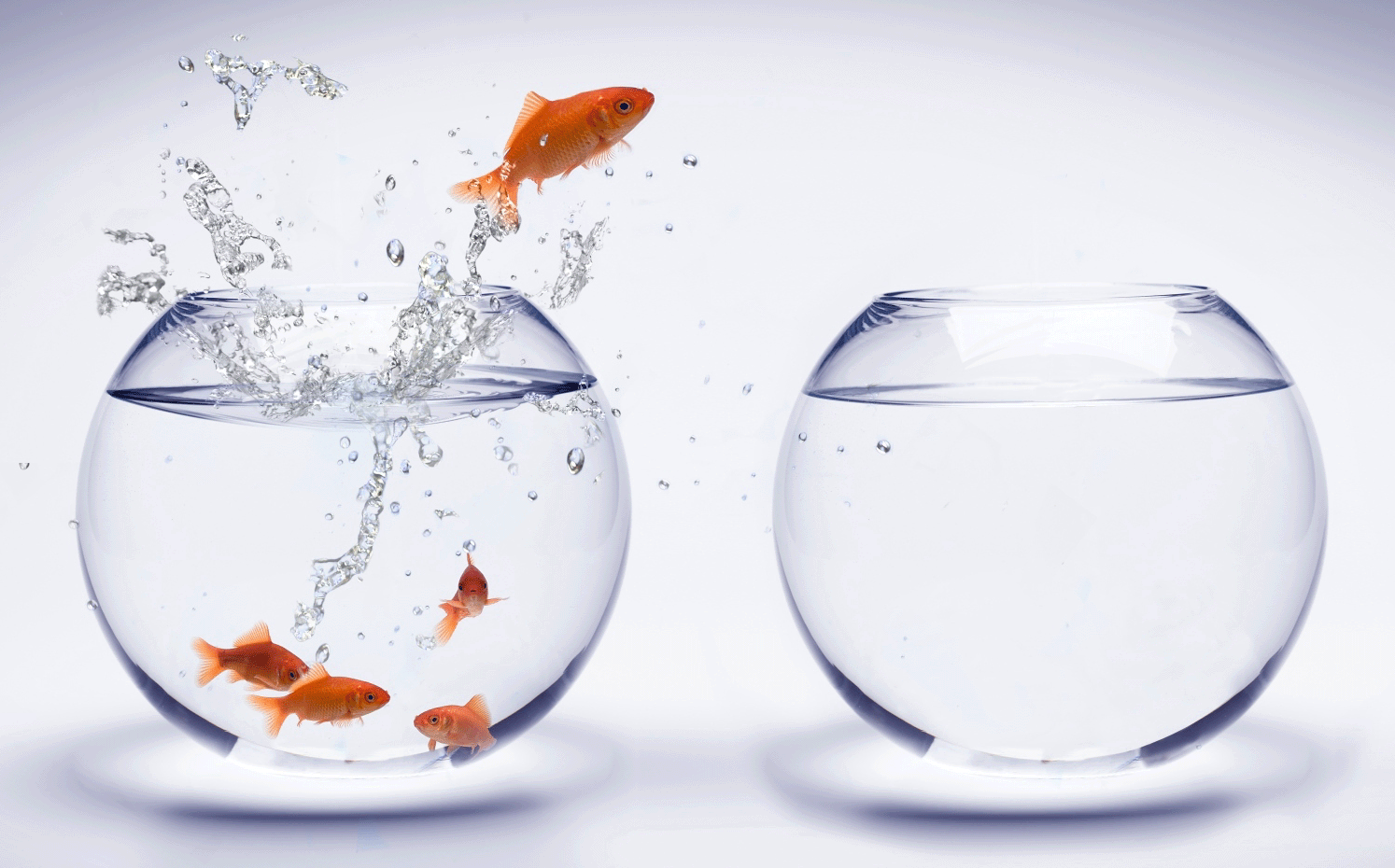 Talent moves around more and more