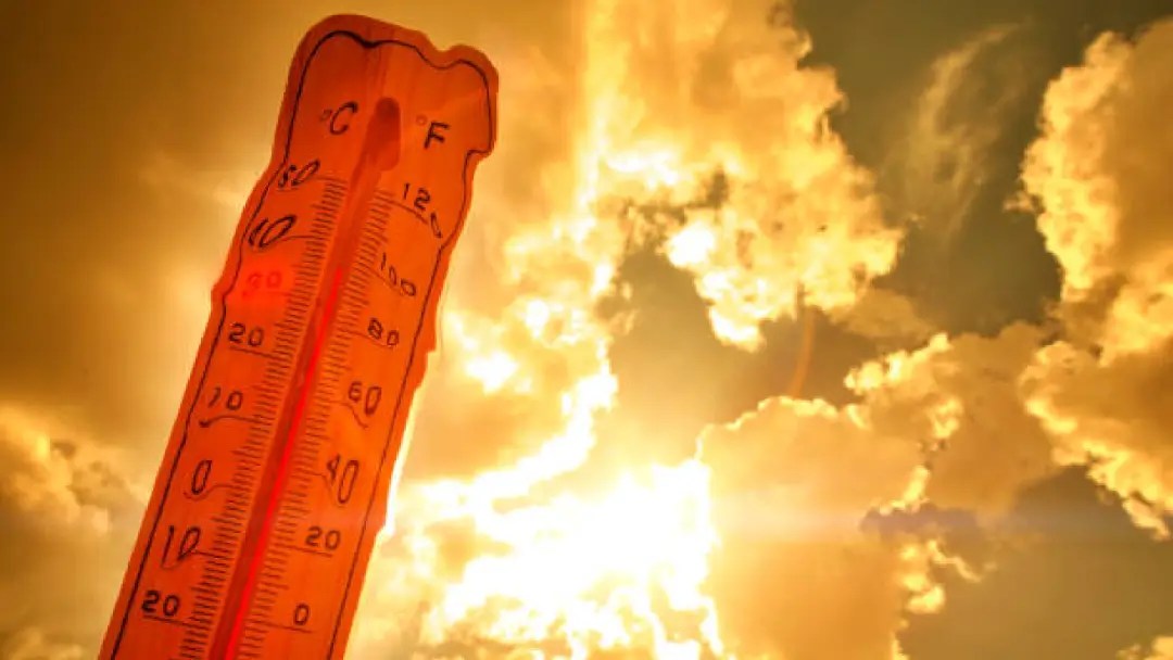 calor 19082025