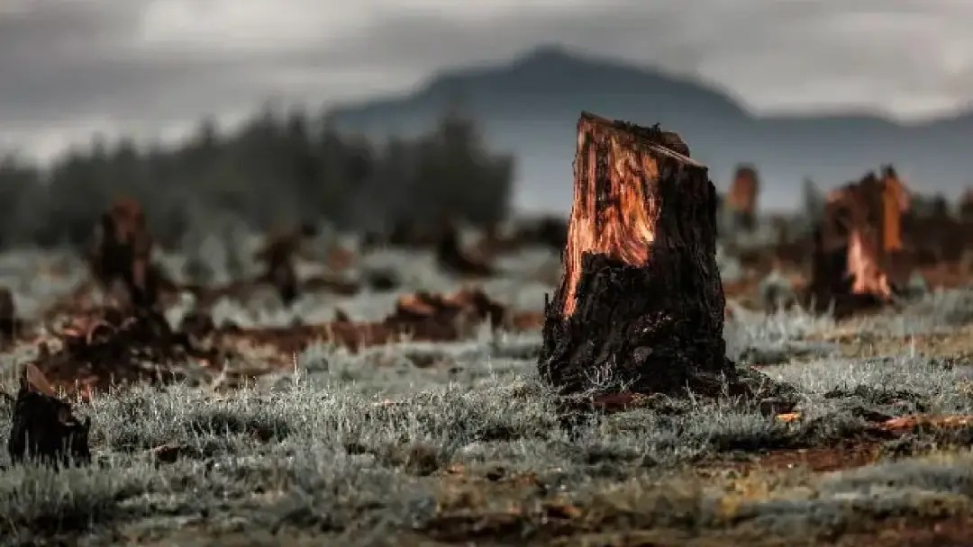 mudanças climáticas 24092025
