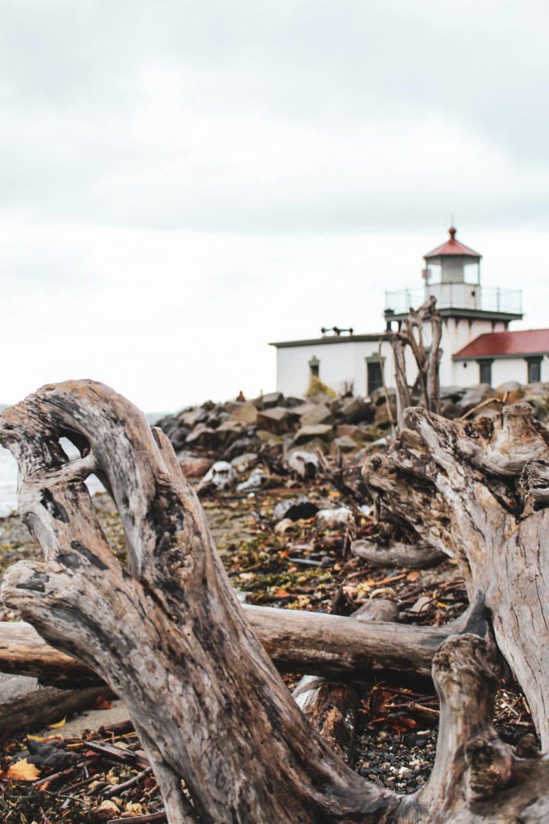 lighthouse at discovery park