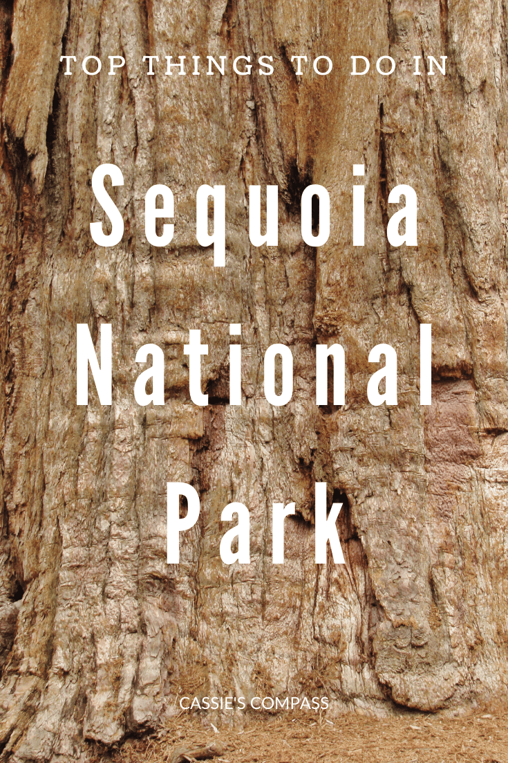 pin image things to see in sequoia national park