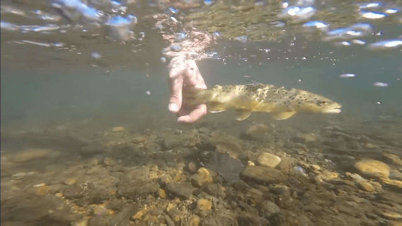 Fly Fishing Films the Full View Casting Across