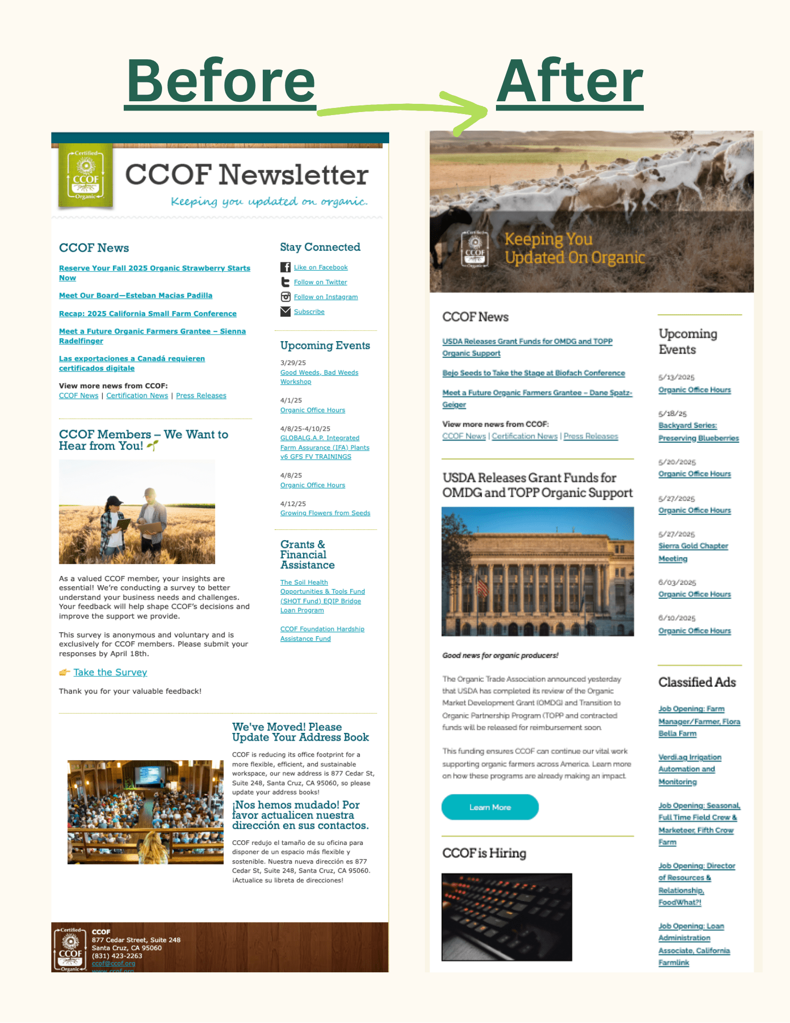 CCOF Email Template Redesign