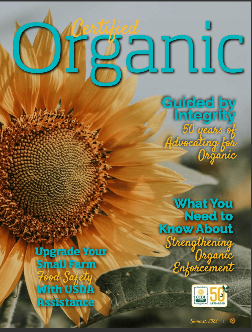 Summer Magazine – Editorial Production & Nationwide Distribution