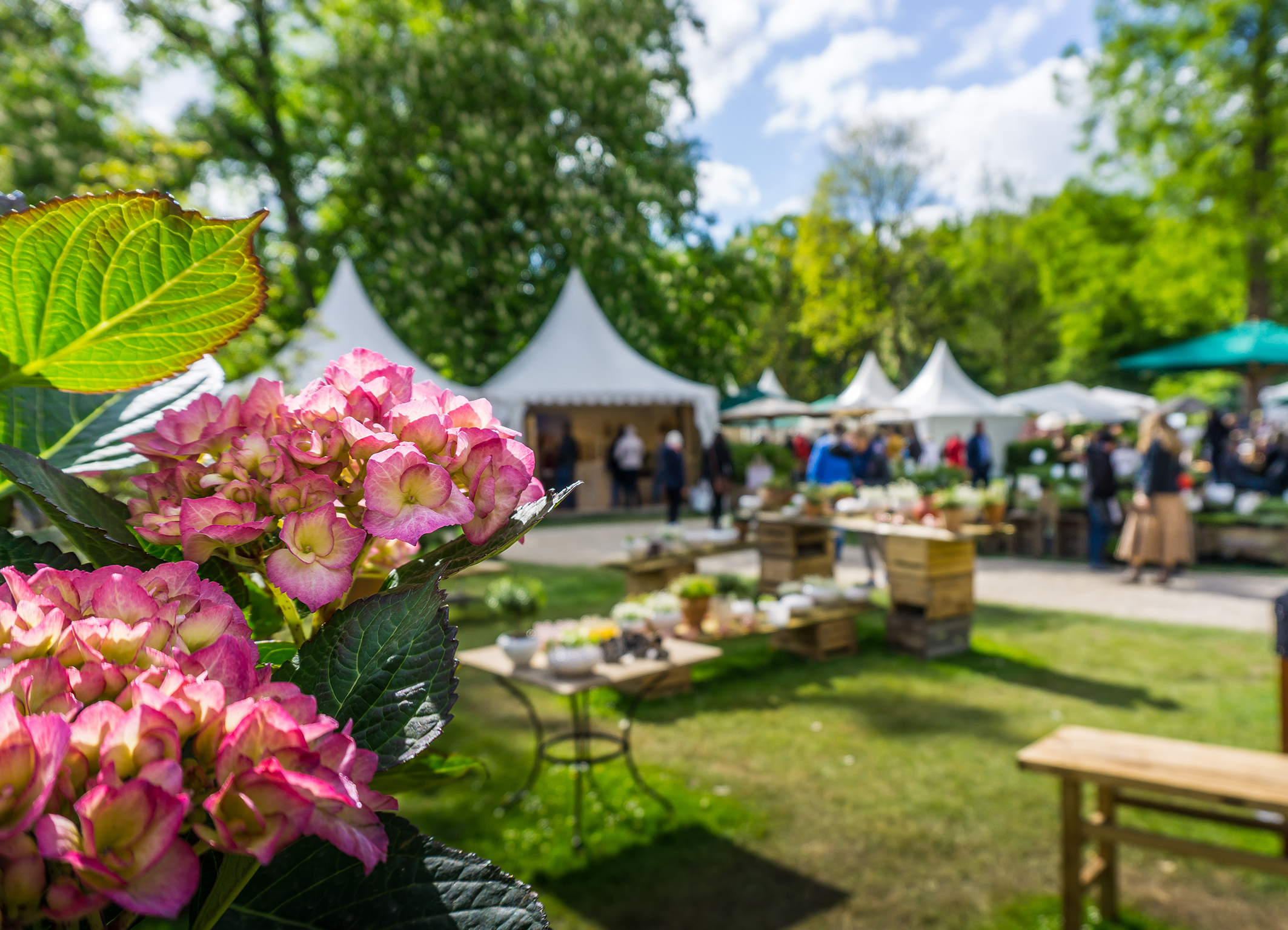 H S Forst Garten Reinigungstechnik In Sonneberg Thuringen