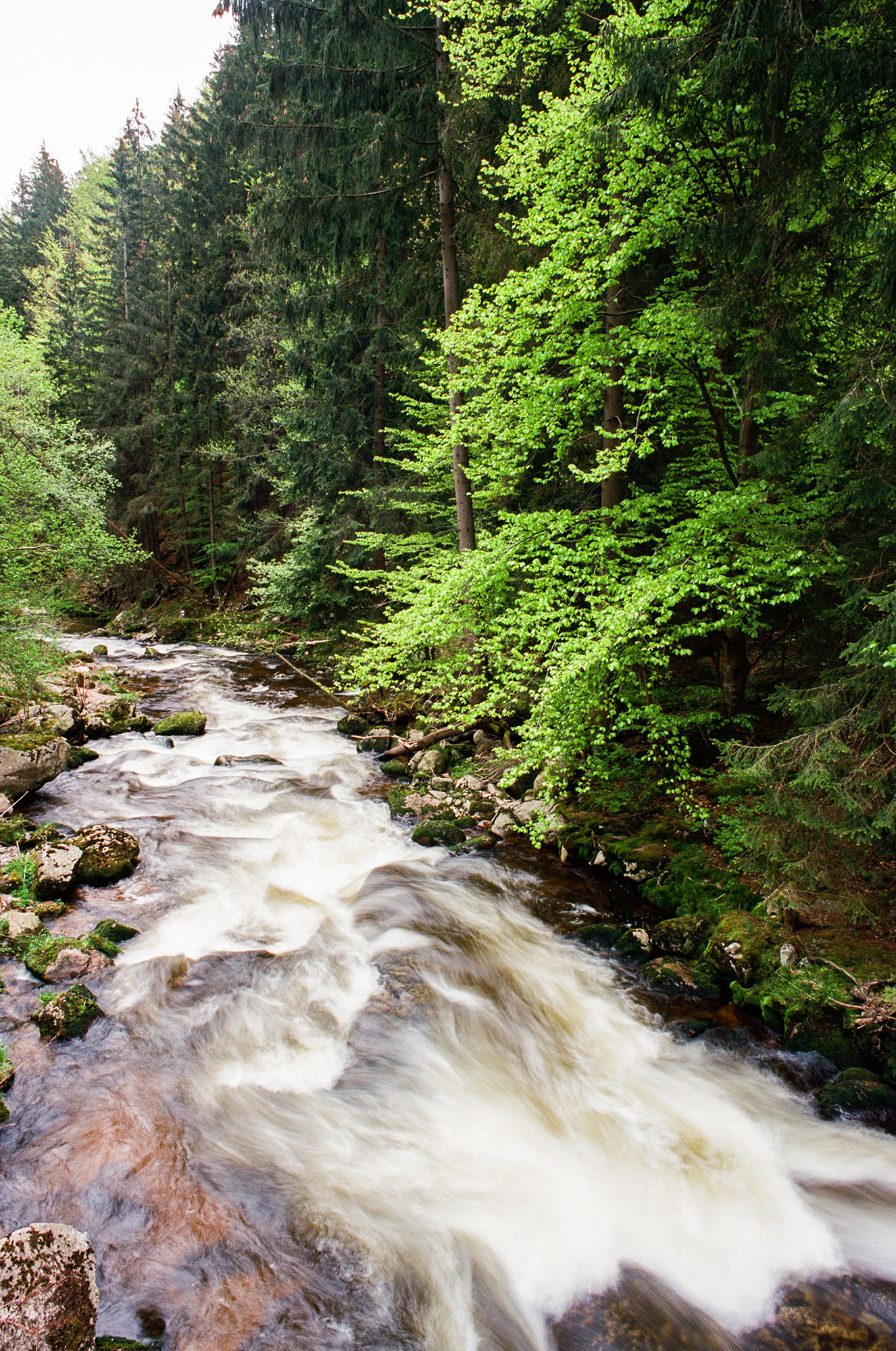 JebPoland7