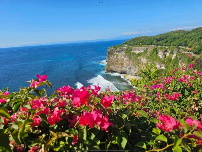 Flowers in the foreground and cliffs and ocean in the background. 