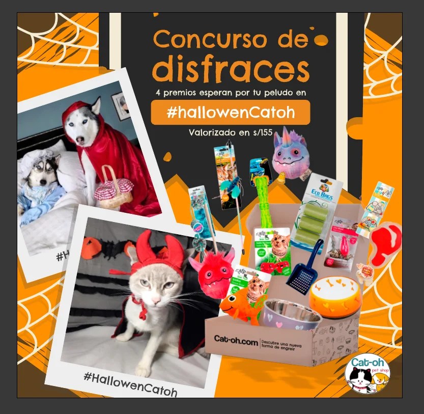 concurso halloween 2021