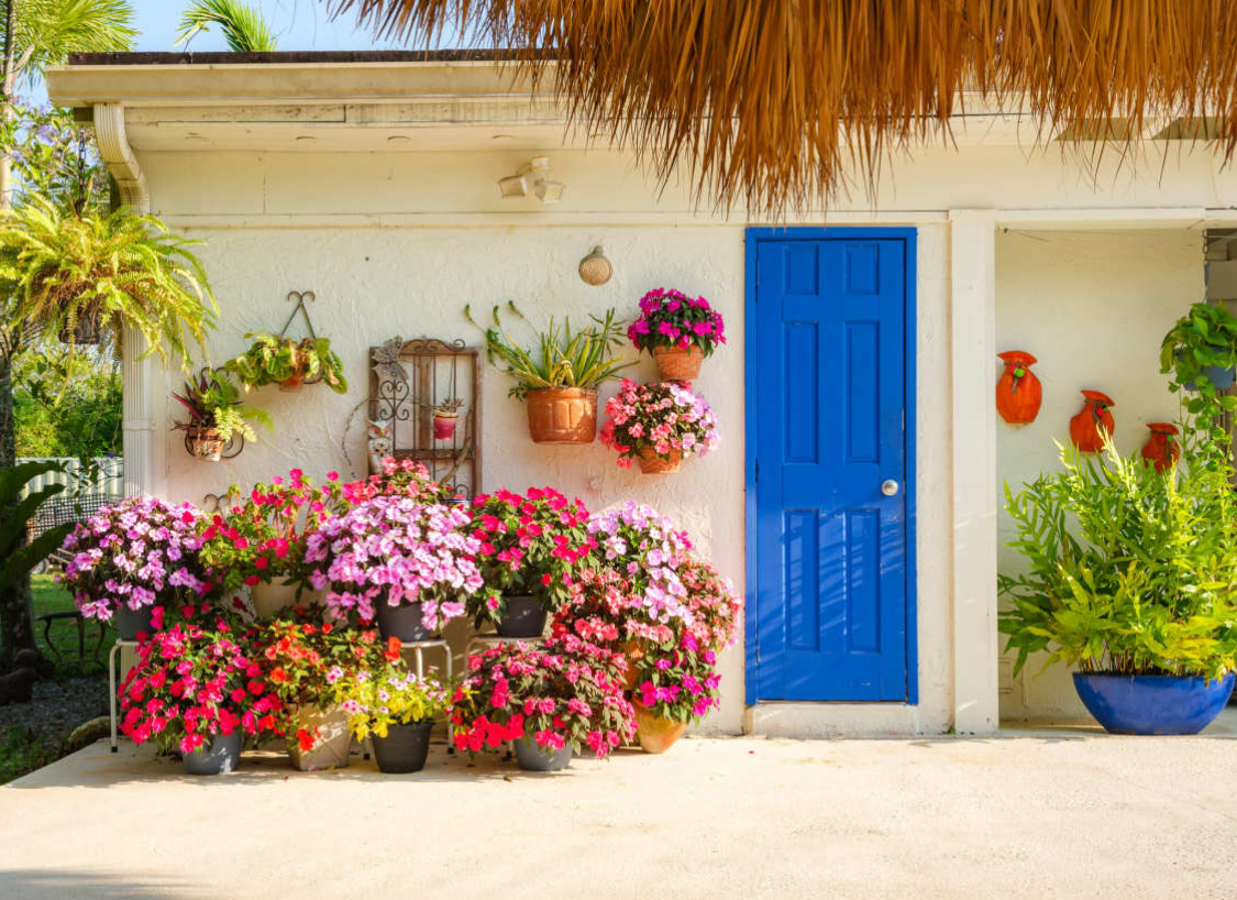 Huge Land Lagoon Cottage