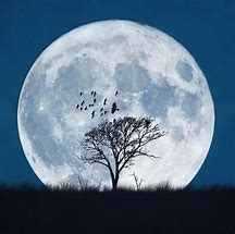 Full Moon