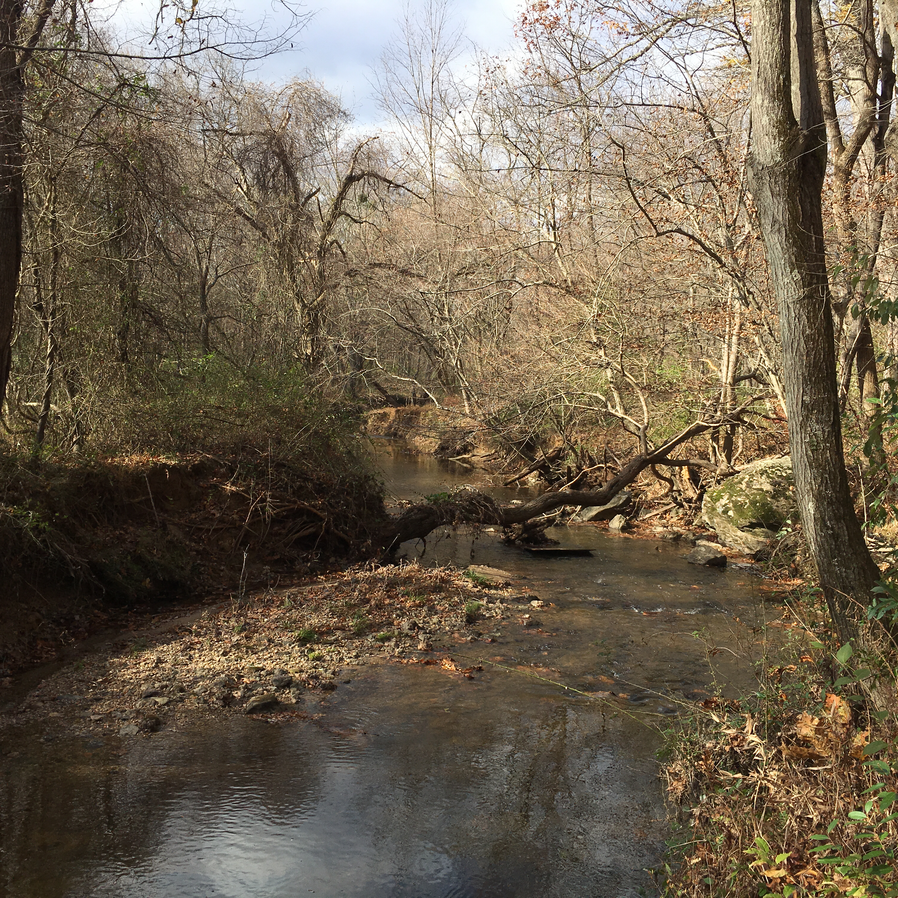 Difficult Valley Stream