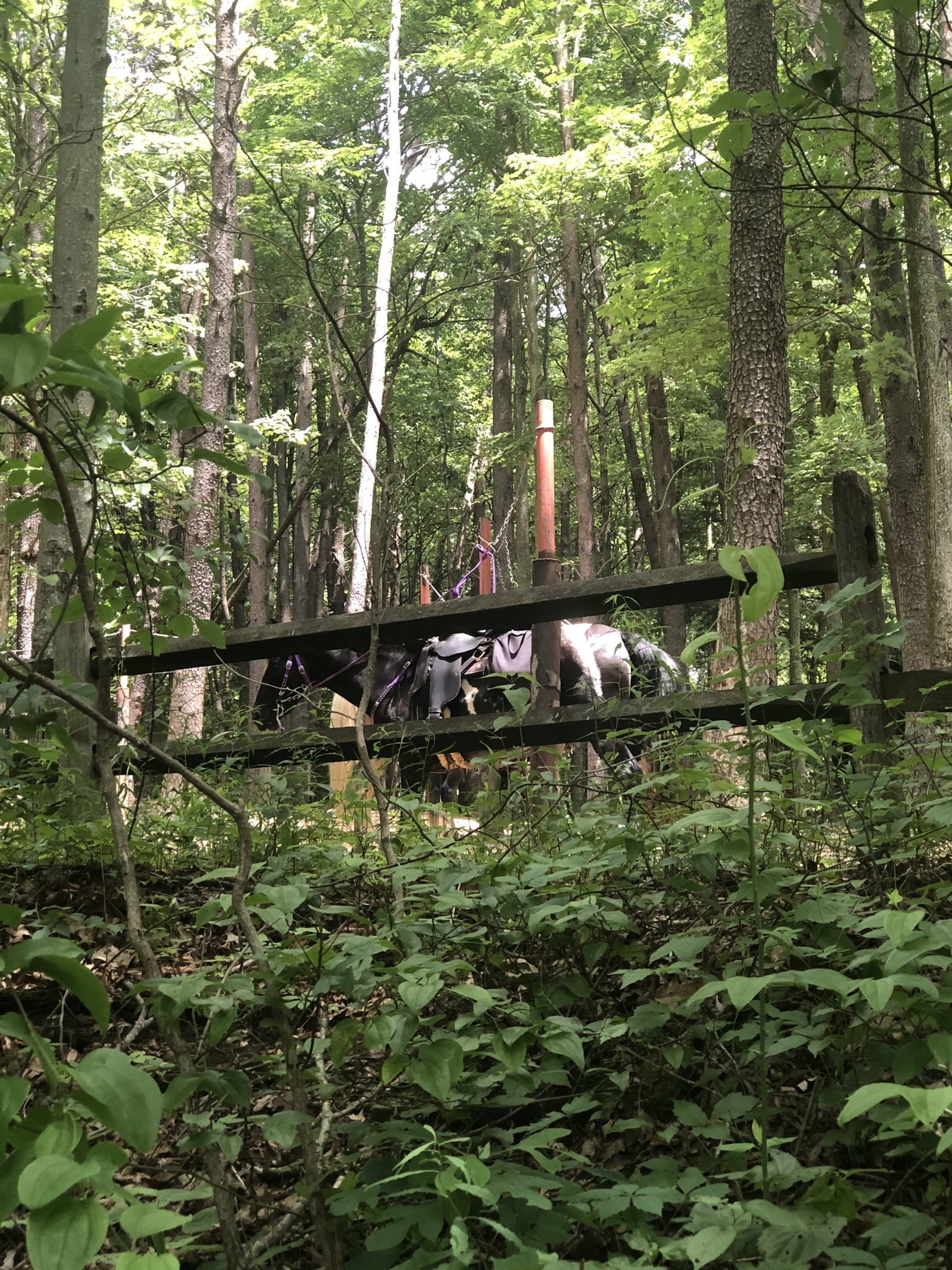 hitching post for Airplane Rock