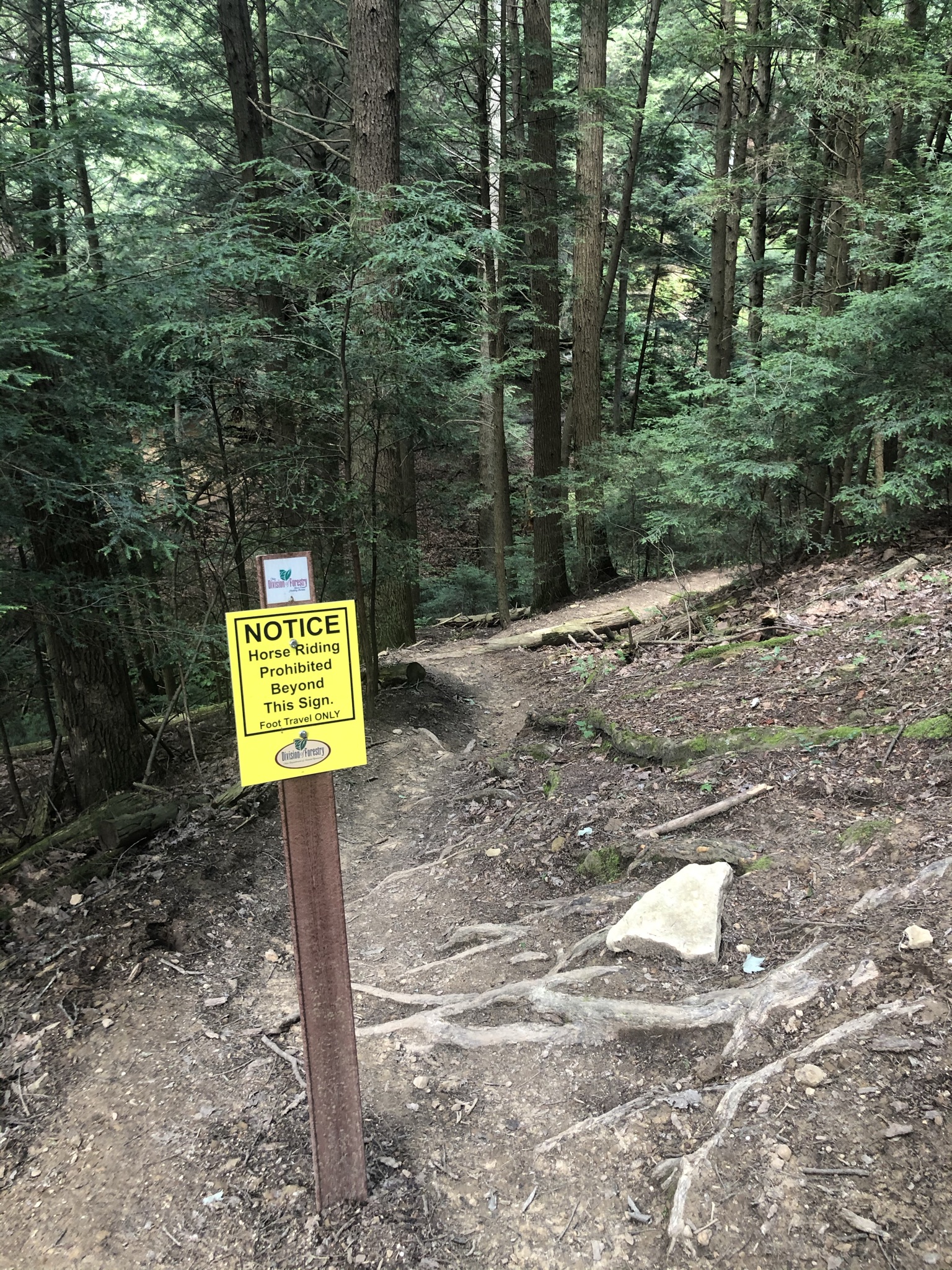 Chapel Cave- Hocking Hills