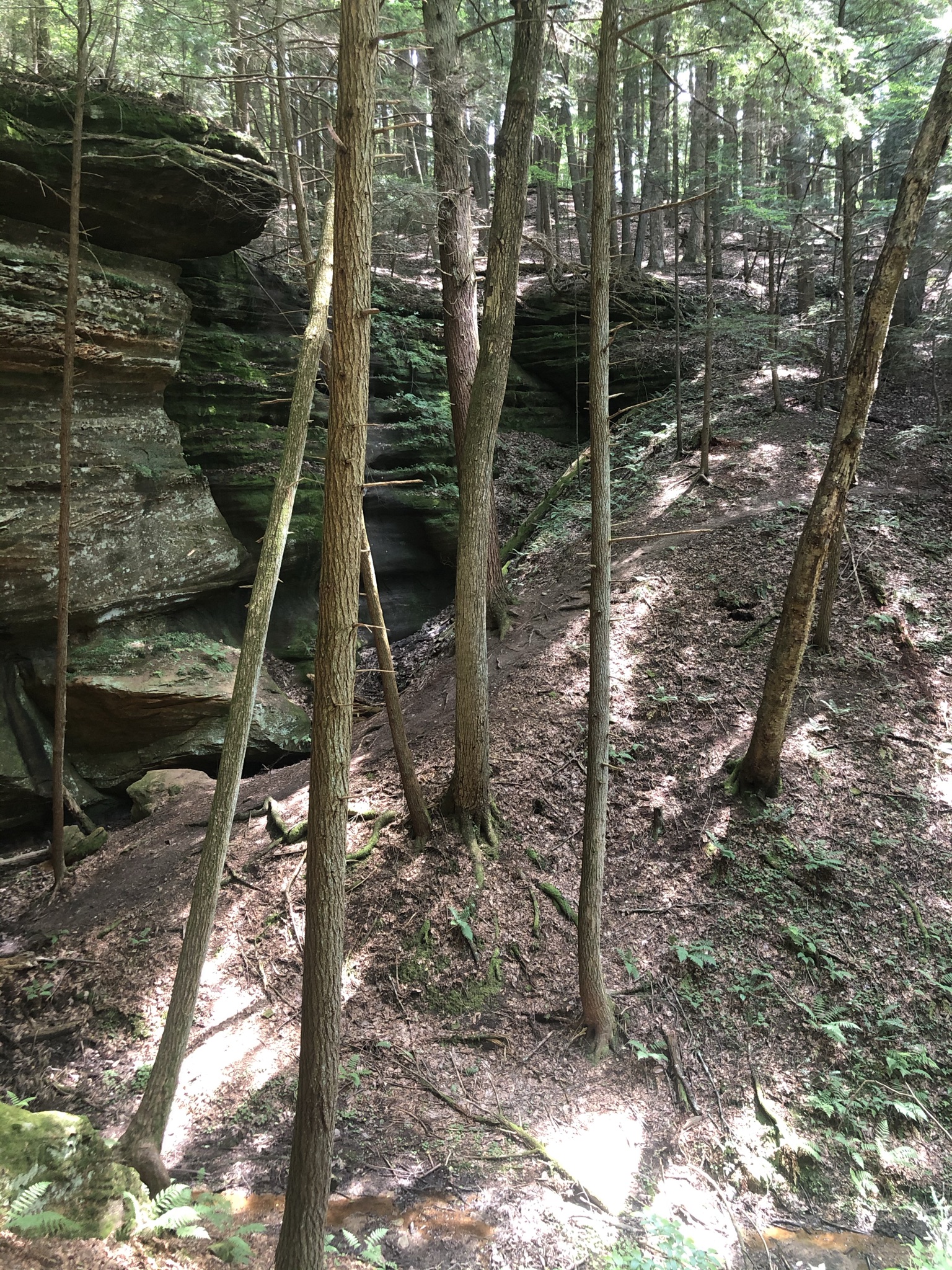 Chapel Cave- Hocking Hills