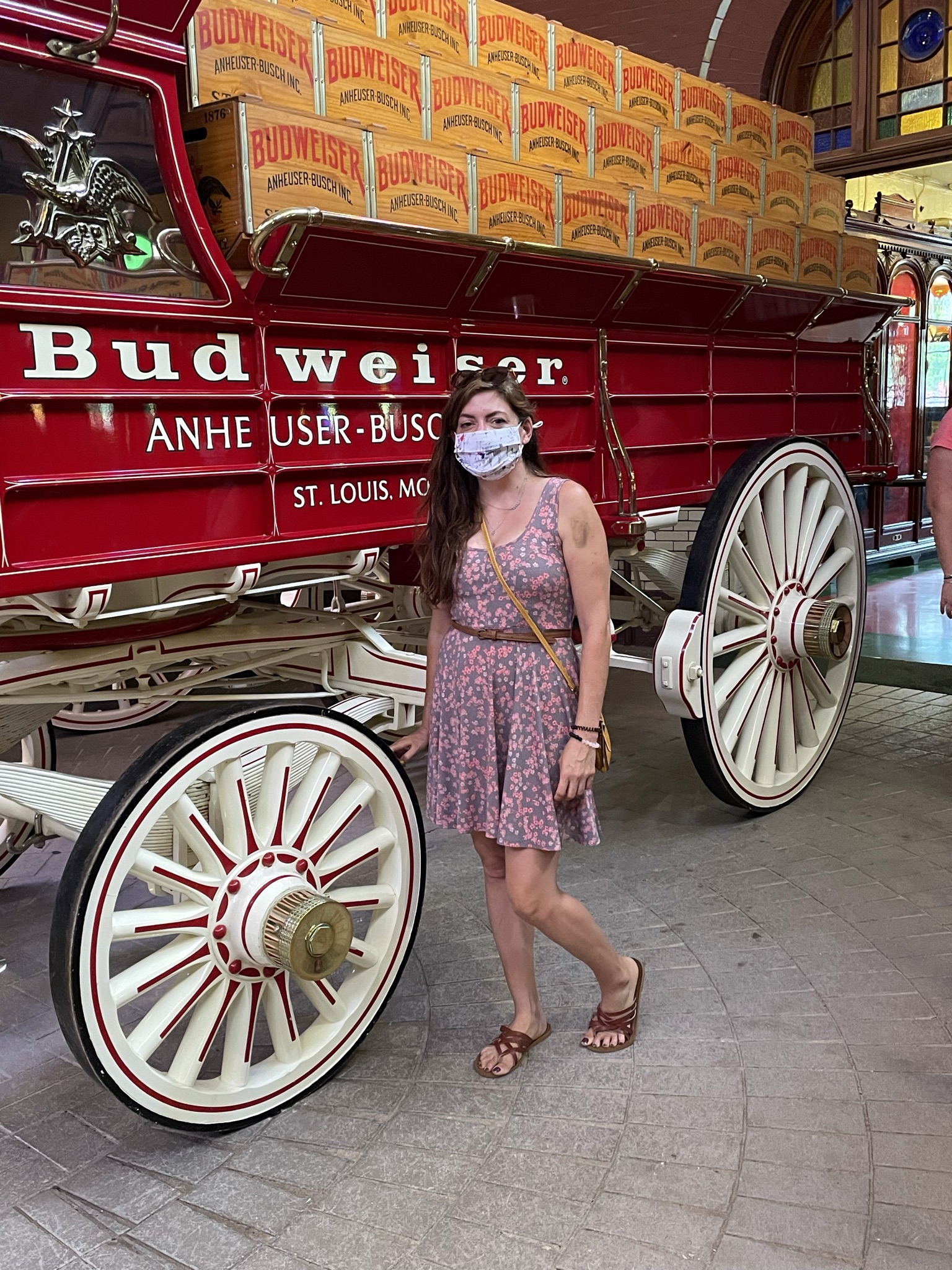Visiting St. Louis- Budweiser Tour