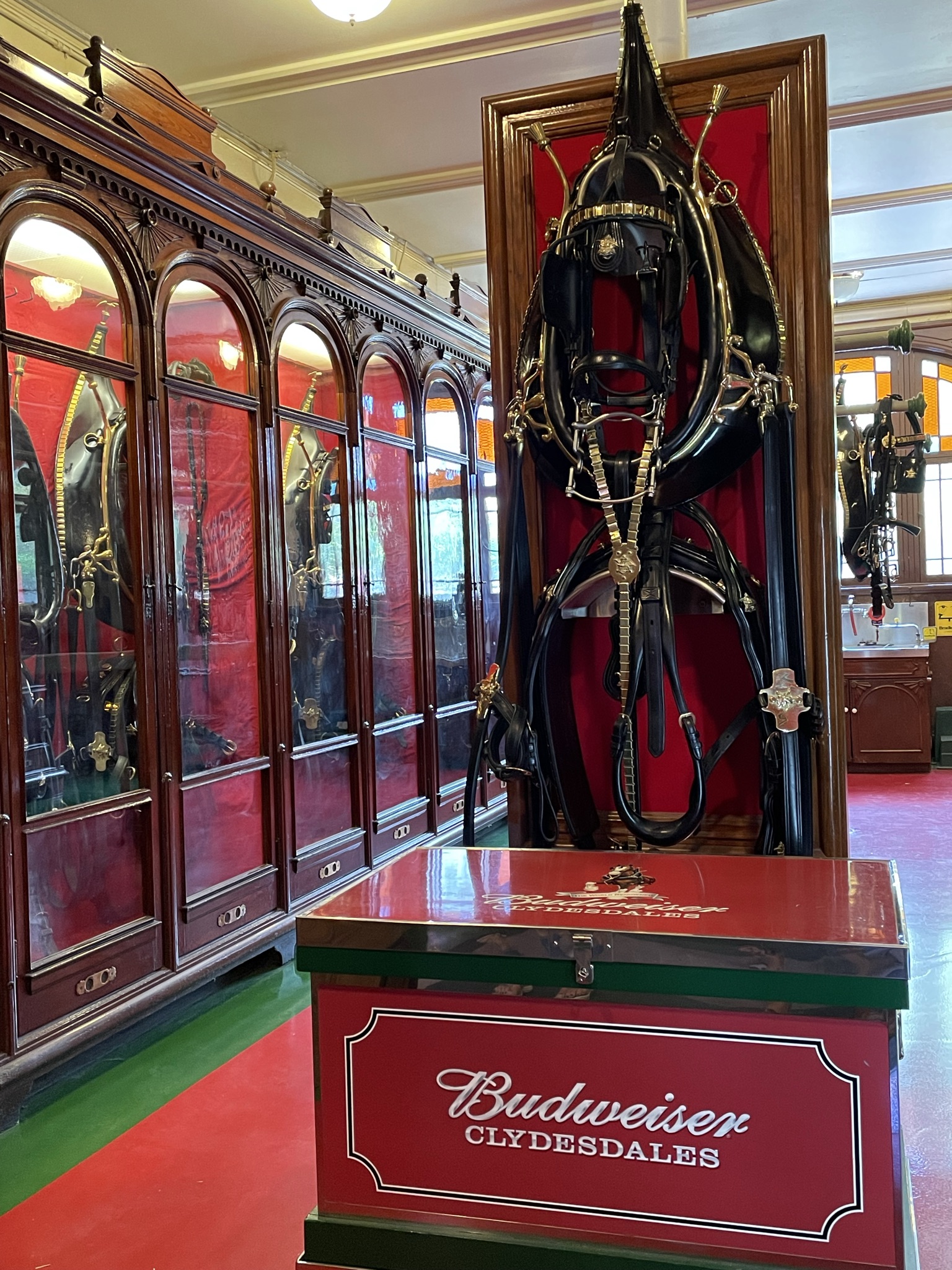 Visiting St. Louis- Budweiser Tour