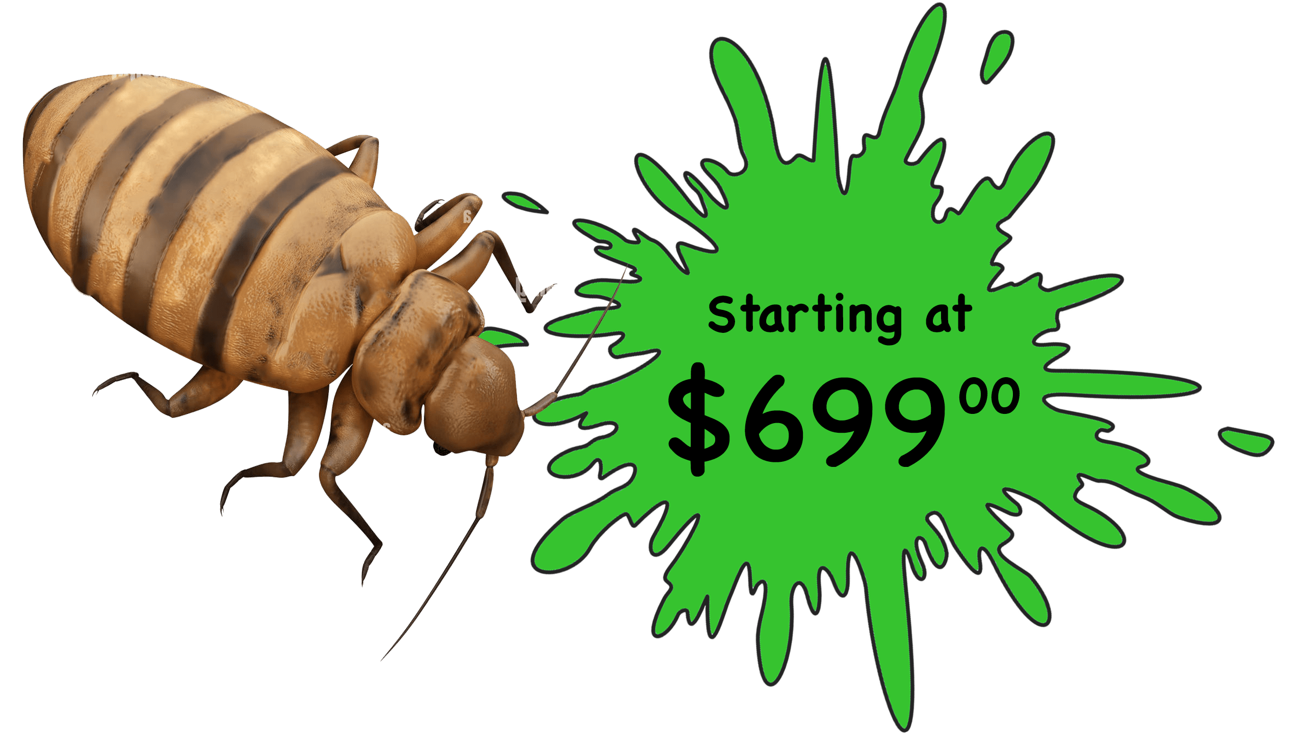 pest control asheville nc prices