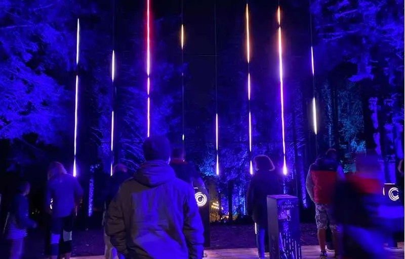 Alta Lumina Light Show in Les Gets
