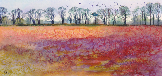 Rooks rising – red