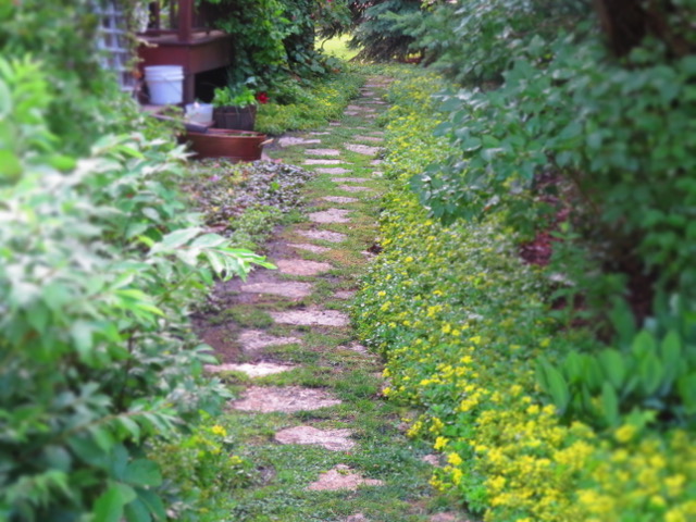 Upper photo courtesy of kittleson landscape. A Writer S Garden A Cottage Garden From Gail Kittleson Catherine Castle