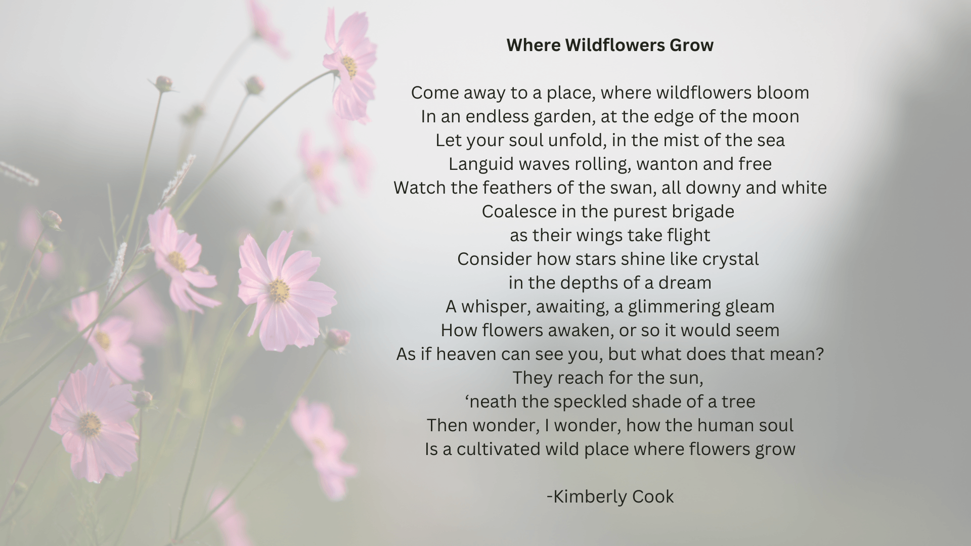 Where Wildflowers Grow