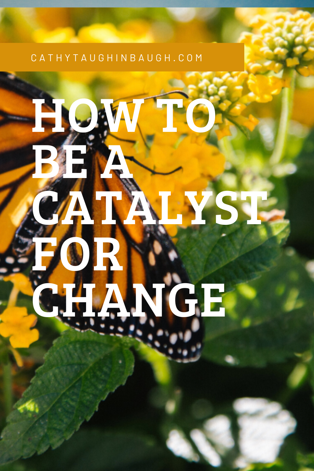How to be a Catalyst for Change Cathy Taughinbaugh Treatment Talk