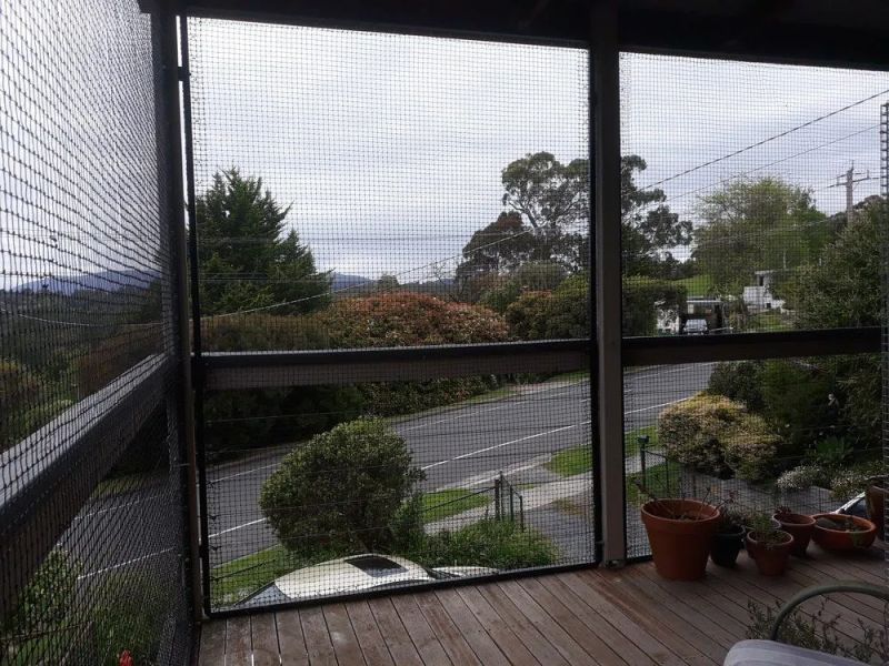 Custom Cat Enclosures - Beautiful Ocean Pattern - Ultra HD