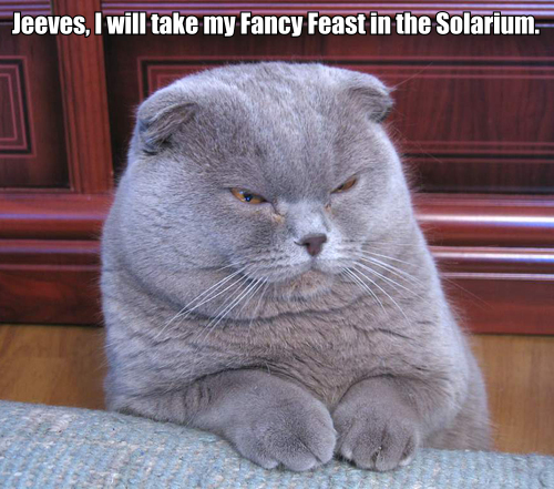 Jeeves Cat Macros