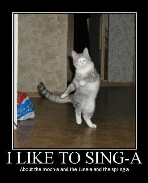 That cat is not dancing meme. Dancing Cat Macros