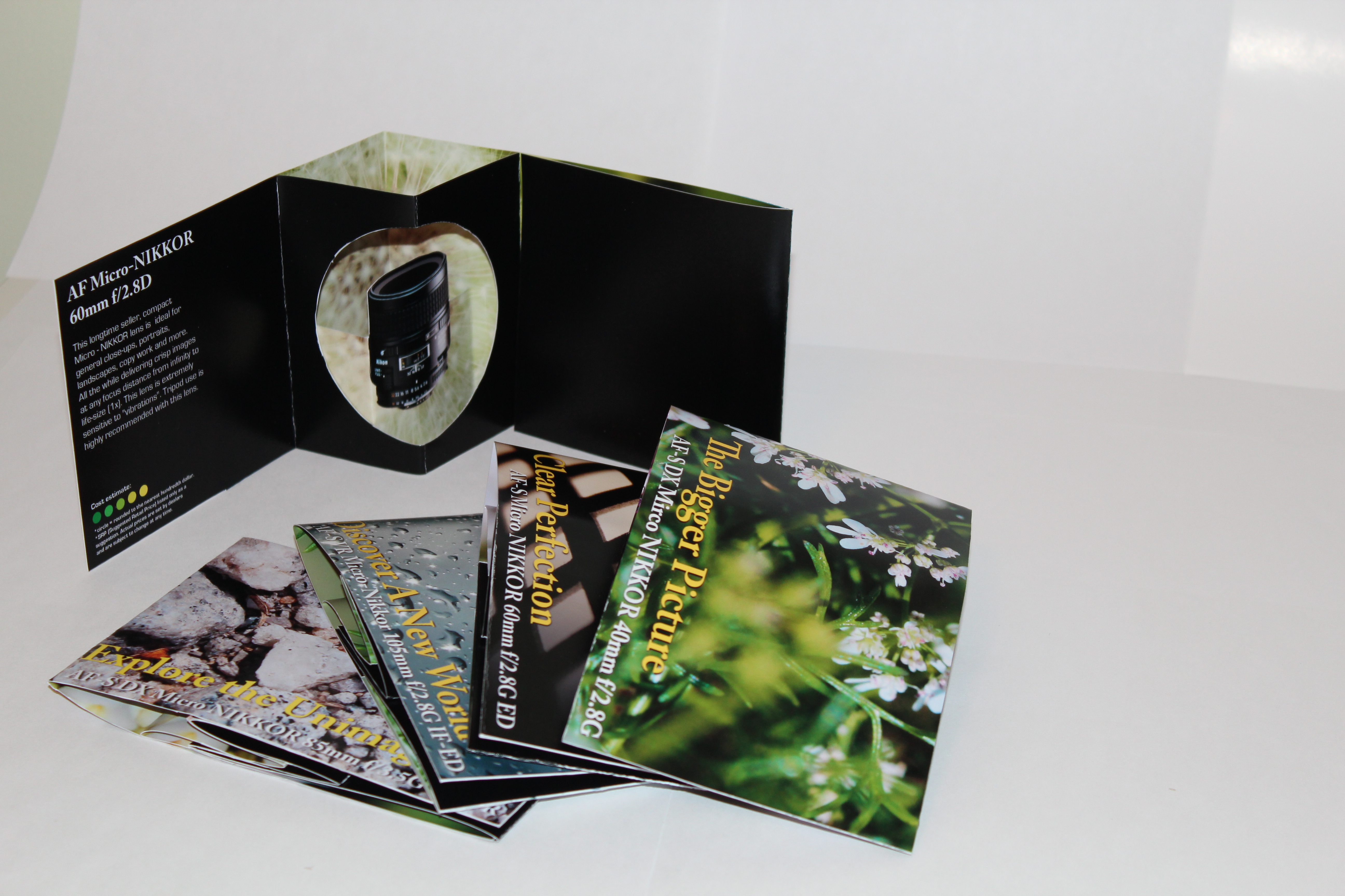 brochure12