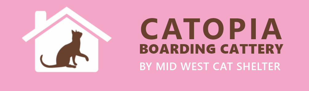 Catopia Boarding Cattery