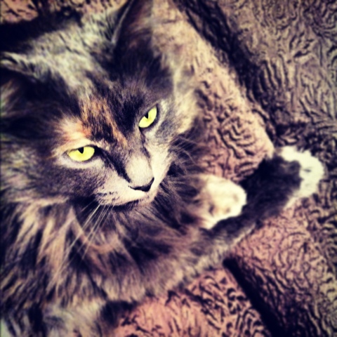 20120328-210737.jpg