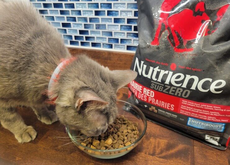 Unbiased nutrience cat food review in 2023