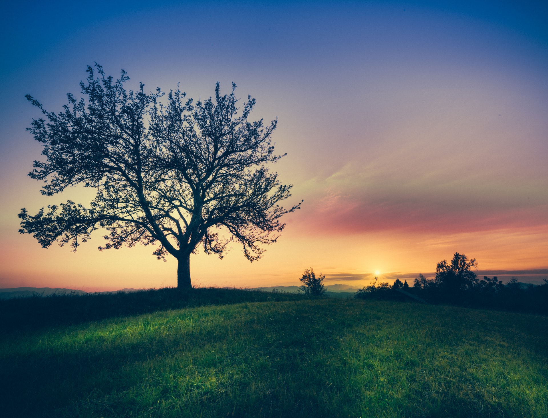 Java TreeSet: Explained With Examples - Cats In Code