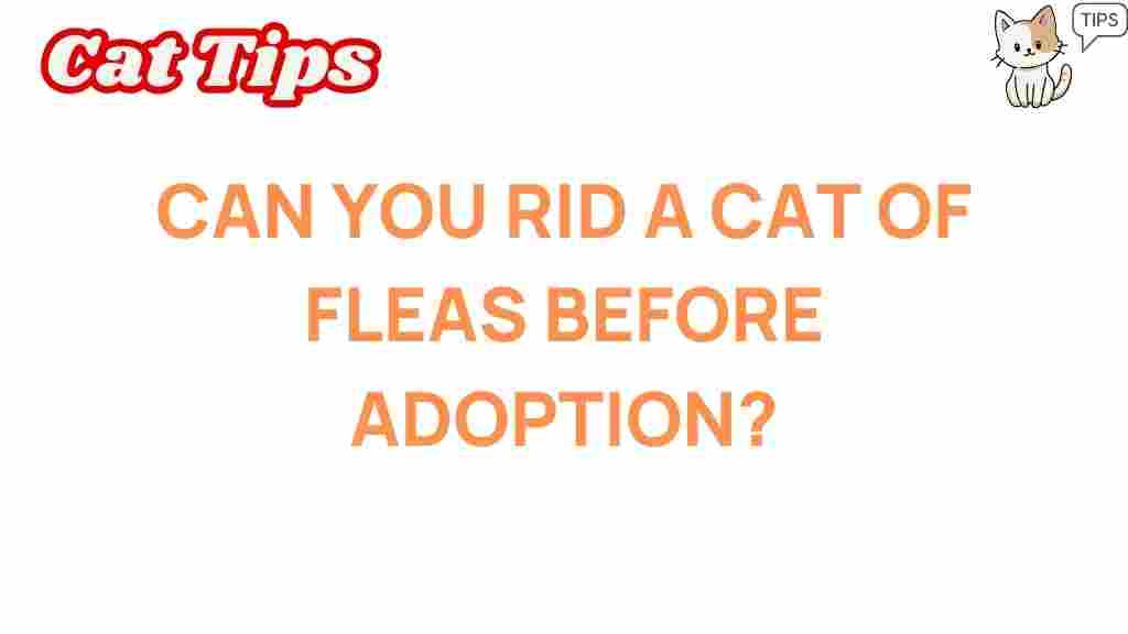 Can you successfully eliminate fleas from a cat before adoption?