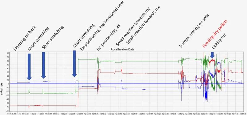 Oatmeal Cat Tracker 2 0 - City Designs - High Quality Retina Collection