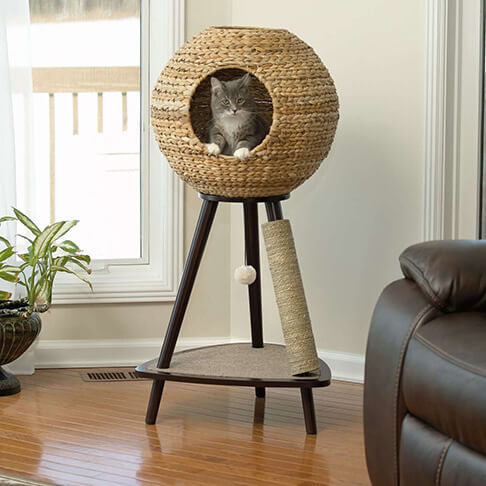 Best Cat Trees For Large Cats Cat Cave Co