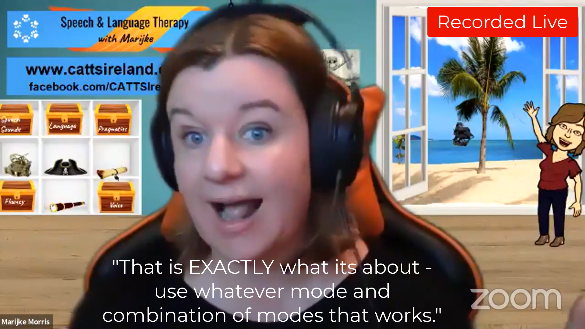 Would you recommend a blended approach to speech and language therapy?