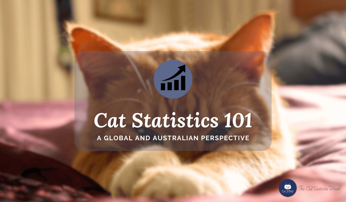 Cat Statistics 101: A Global and Australian Perspective