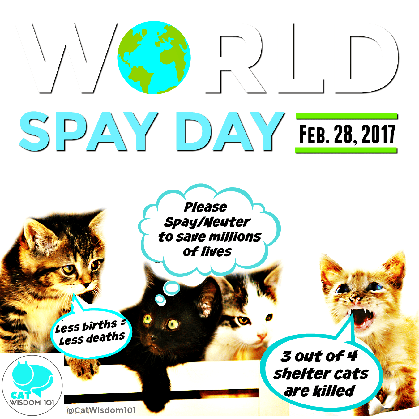 World Spay Day Feline Fix Five Cat Wisdom 101 Everything Feline Since 2011 To commemorate World Spay Day this year taking place on Feb. World Spay Day Feline Fix Five Cat Wisdom 101 Everything Feline Since 2011 World Spay Day 2018 is observed on Tuesday February 27 2018.