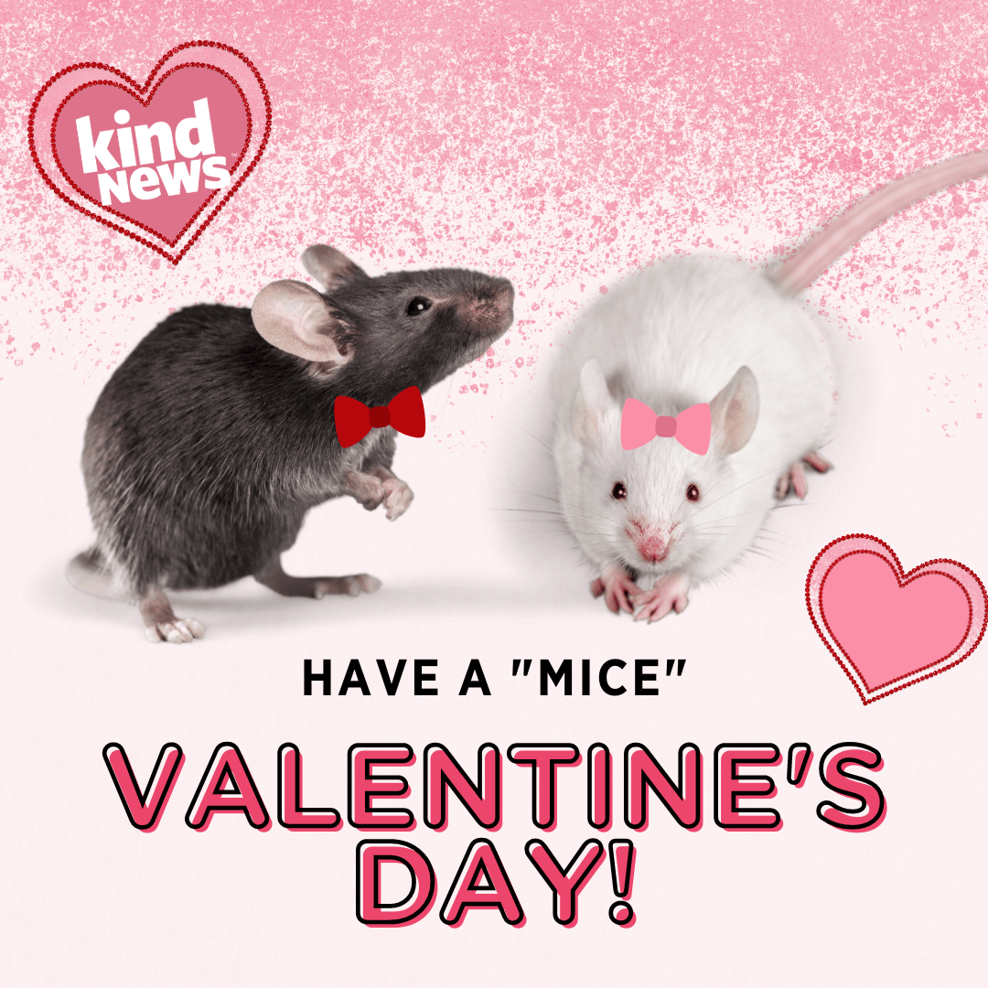 Valentine's Day (1)