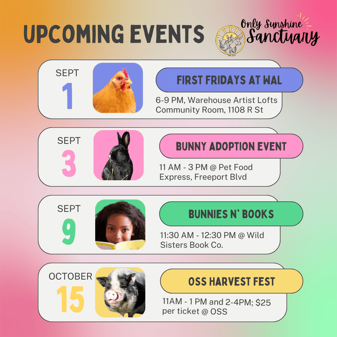 2023- Sept Upcoming Events (2)