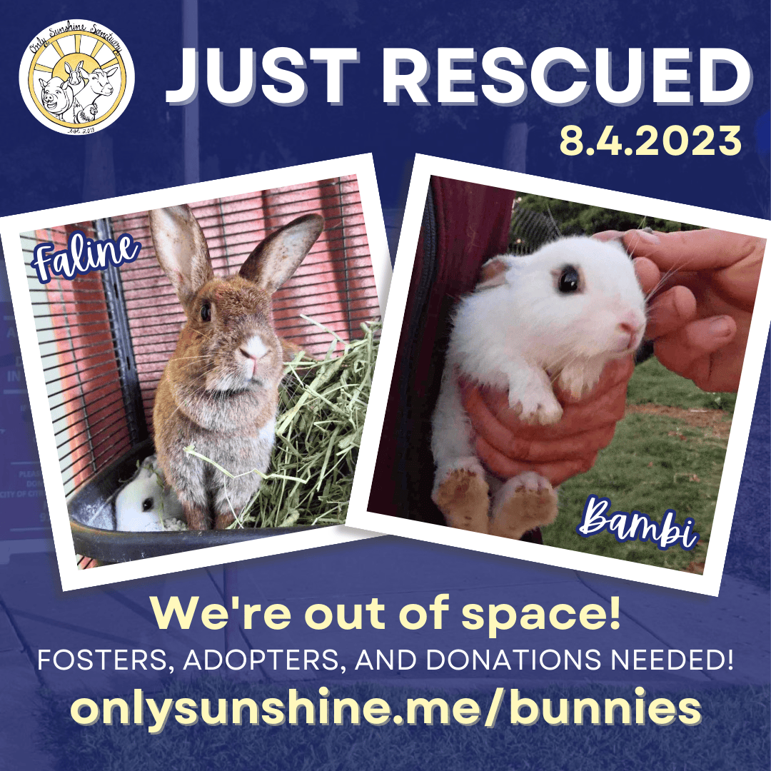 Just Rescued