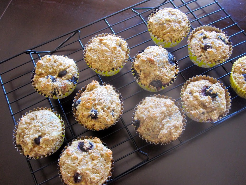 Blueberry Bran Muffins Catz in the Kitchen