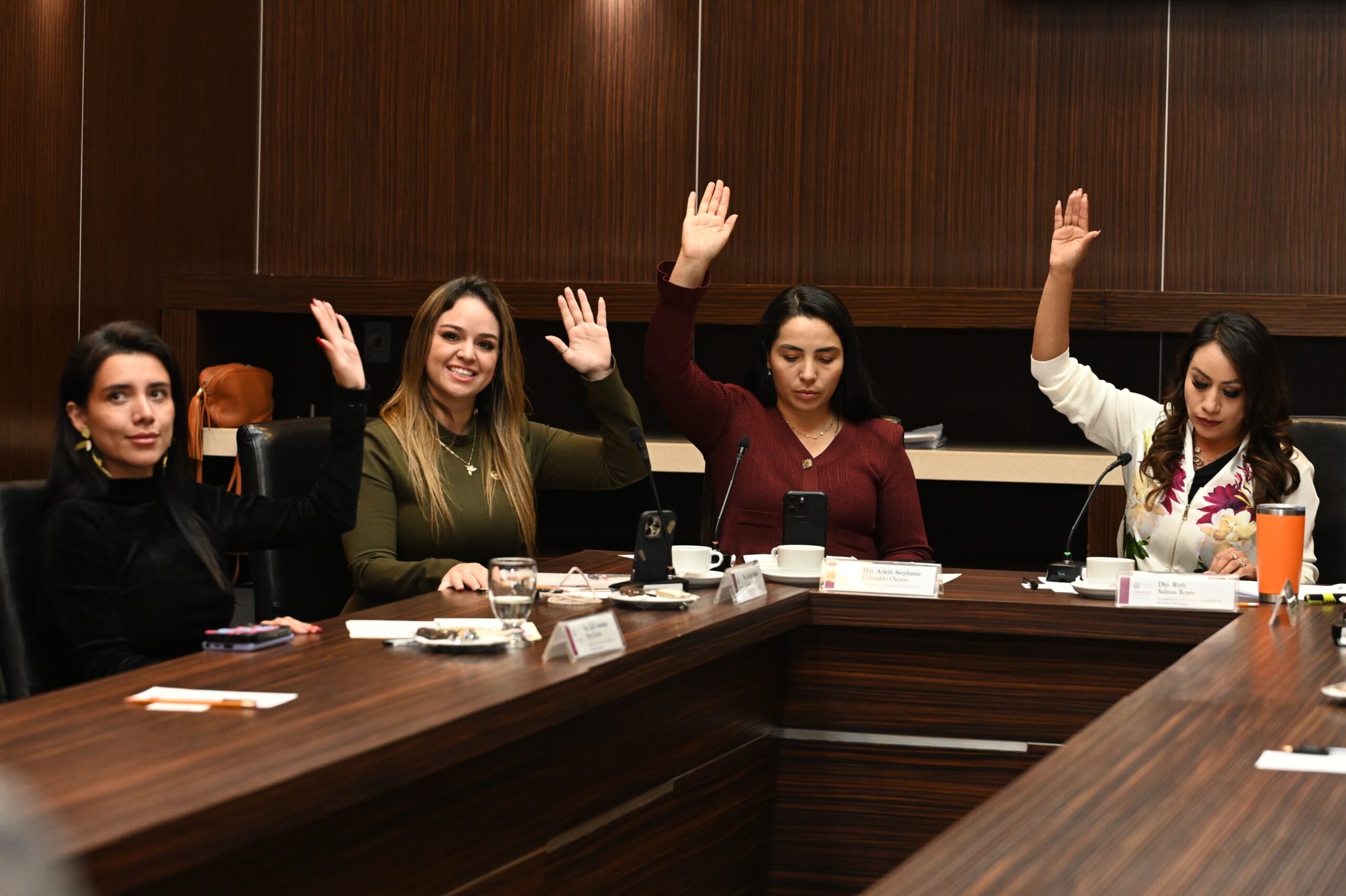 Aprueba comisión legislativa terna para elegir a titular de la Codhem